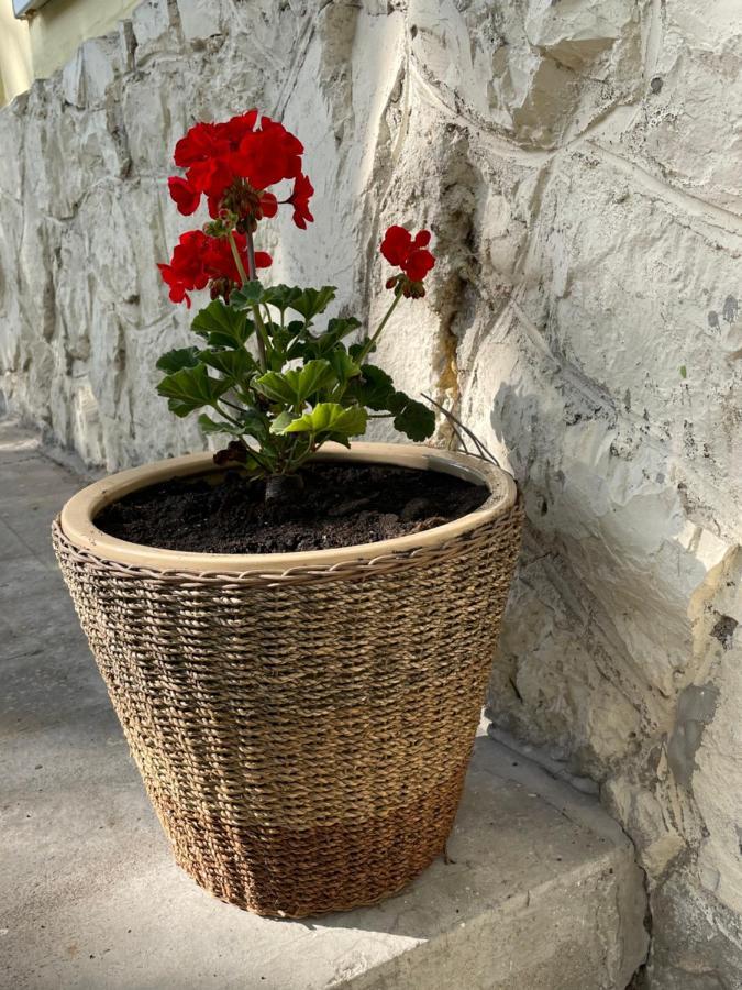 Boni Apartman Miskolc Esterno foto